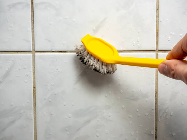 Best Same-Day Mold Removal  in Panama, OK