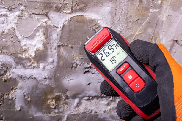 Best Residential Mold Removal  in Panama, OK