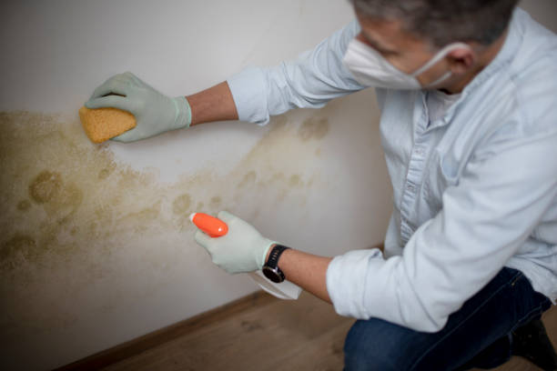 Water Damage Restoration in Panama, OK