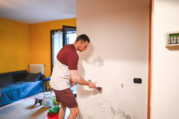 Best Best Mold Removal Companies  in Panama, OK