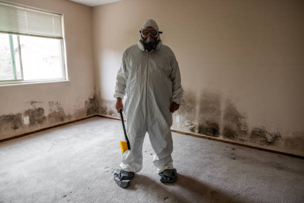 Best Emergency Mold Removal  in Panama, OK